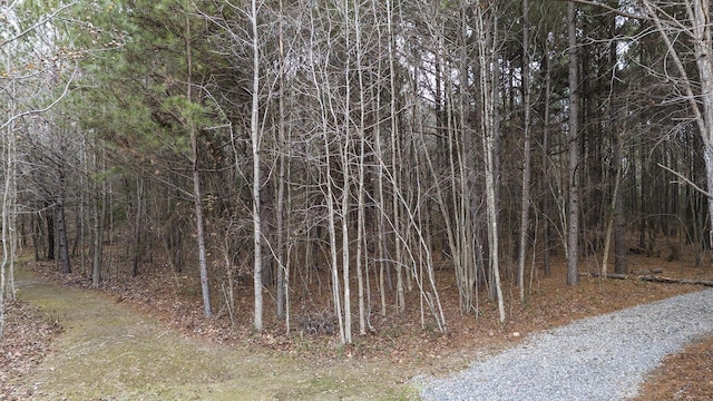 view of nature featuring a view of trees