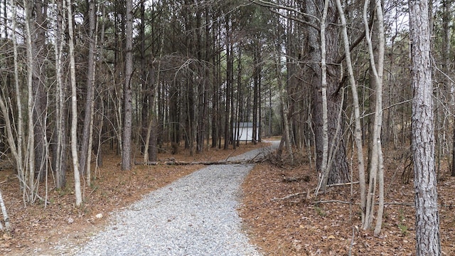 view of road featuring a wooded view