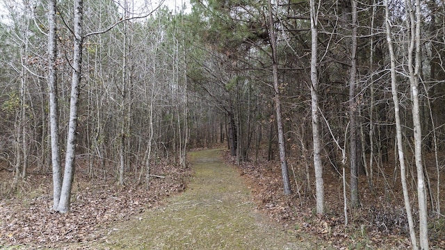 view of local wilderness with a wooded view