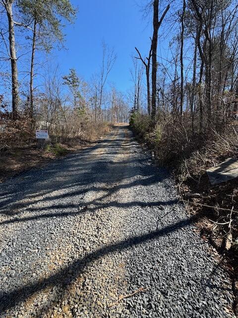 401 Old Cottonwood Mill Rd, Tunnel Hill, GA 30755 - view of street