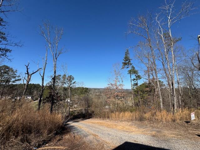 401 Old Cottonwood Mill Rd, Tunnel Hill, GA 30755 - view of road
