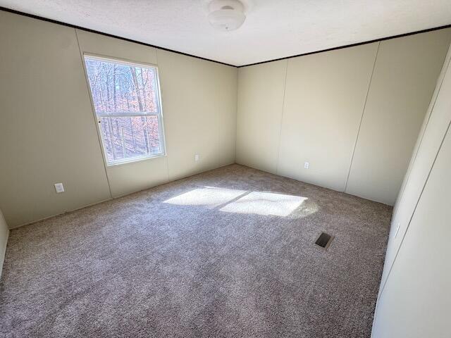 401 Old Cottonwood Mill Rd, Tunnel Hill, GA 30755 - unfurnished room with carpet floors and visible vents