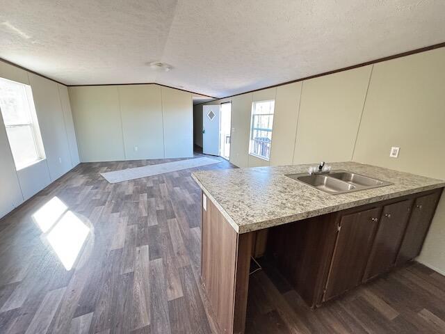 401 Old Cottonwood Mill Rd, Tunnel Hill, GA 30755 - kitchen featuring dark wood-type flooring, a sink, a textured ceiling, and vaulted ceiling