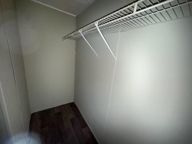 401 Old Cottonwood Mill Rd, Tunnel Hill, GA 30755 - walk in closet featuring dark wood finished floors