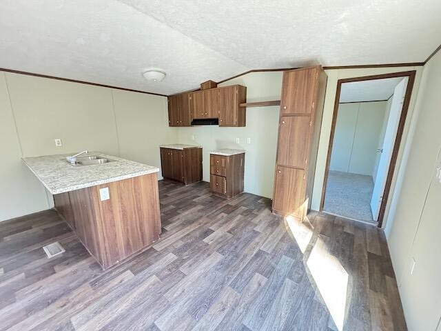 401 Old Cottonwood Mill Rd, Tunnel Hill, GA 30755 - kitchen featuring brown cabinets, dark wood-style flooring, light countertops, a peninsula, and lofted ceiling