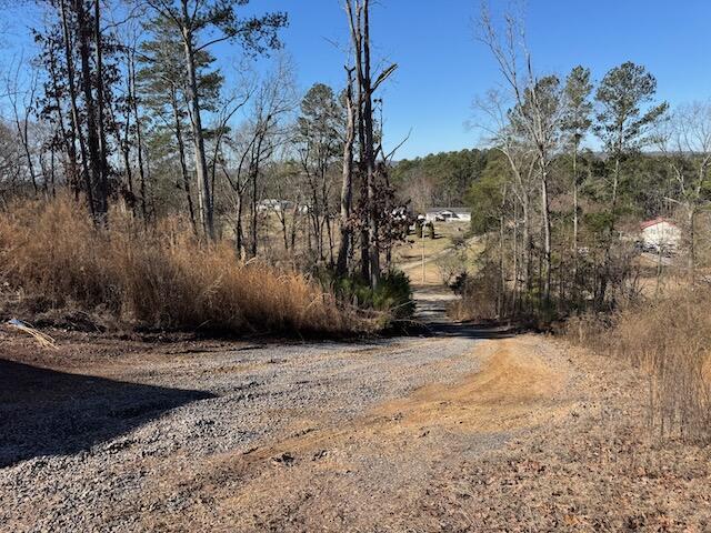 401 Old Cottonwood Mill Rd, Tunnel Hill, GA 30755 - view of nature