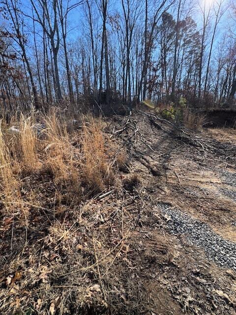 401 Old Cottonwood Mill Rd, Tunnel Hill, GA 30755 - view of nature