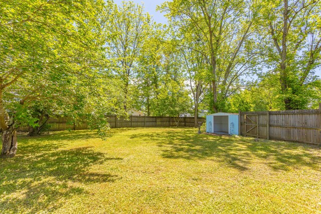 229 General Thomas St, Chickamauga, GA 30707 - view of yard with a storage shed and an outbuilding