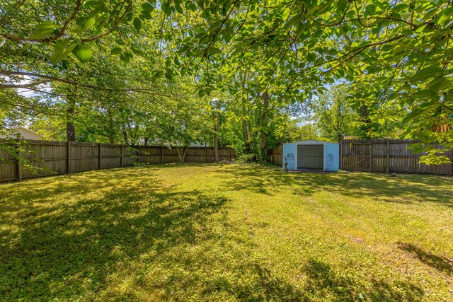 229 General Thomas St, Chickamauga, GA 30707 - view of yard with a storage unit and an outdoor structure