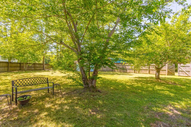 229 General Thomas St, Chickamauga, GA 30707 - view of yard