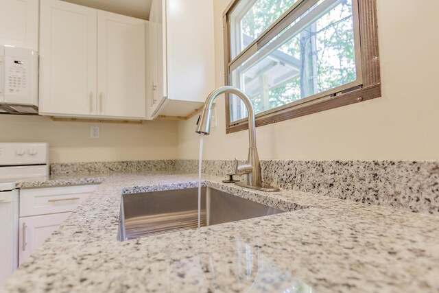 229 General Thomas St, Chickamauga, GA 30707 - kitchen view of white microwave, stove, a sink, and white cabinets