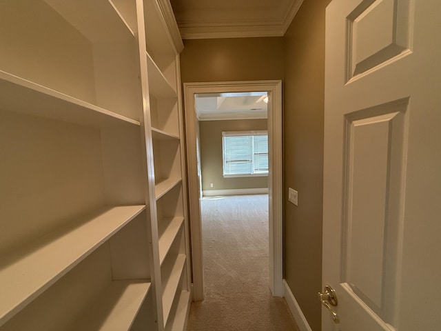 corridor with carpet flooring and ornamental molding