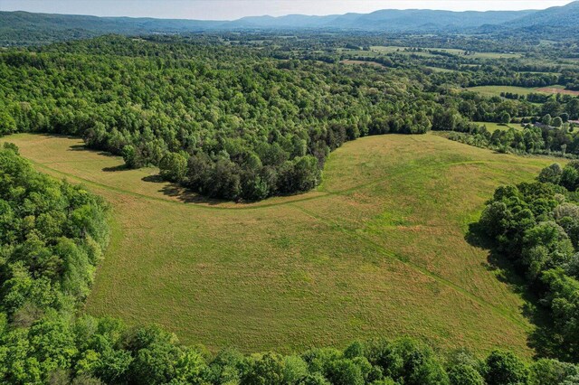 34 Mule Ln, Pikeville, TN 37367 - photo 4