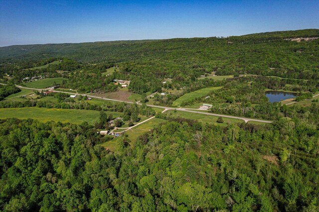 34 Mule Ln, Pikeville, TN 37367 - photo 5
