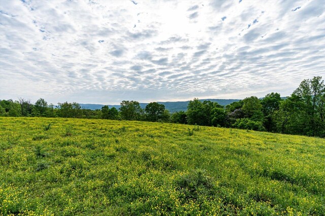 34 Mule Ln, Pikeville, TN 37367 - photo 7