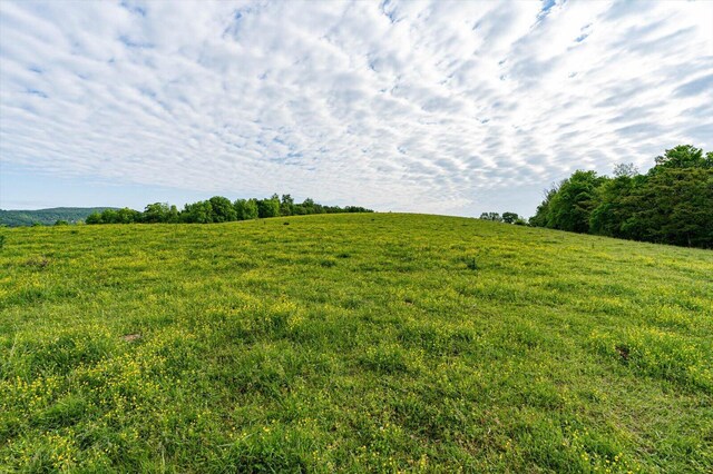 34 Mule Ln, Pikeville, TN 37367 - photo 9