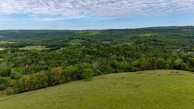 34 Mule Ln, Pikeville, TN 37367 - photo 11