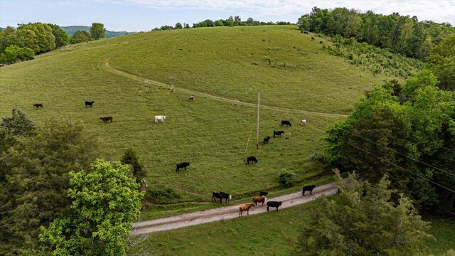 34 Mule Ln, Pikeville, TN 37367 - photo 14