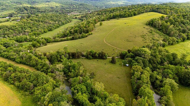 34 Mule Ln, Pikeville, TN 37367 - photo 17