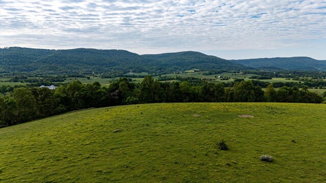 34 Mule Ln, Pikeville, TN 37367 - photo 22