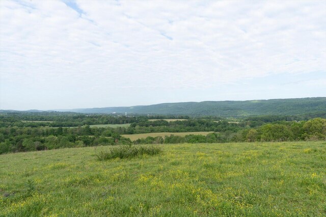 34 Mule Ln, Pikeville, TN 37367 - photo 24