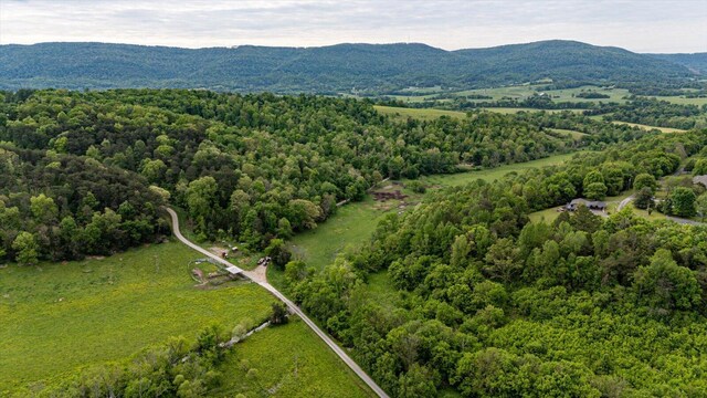 34 Mule Ln, Pikeville, TN 37367 - photo 41