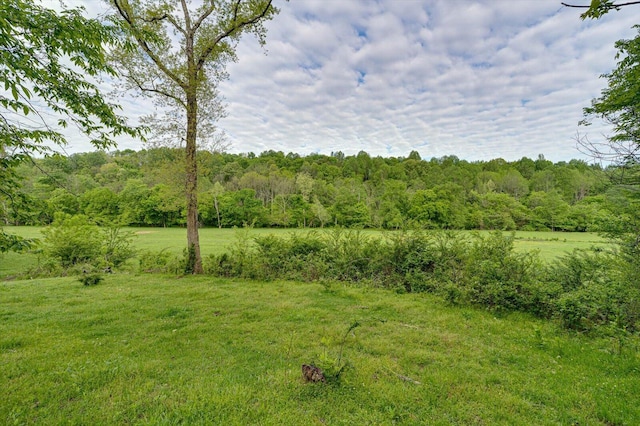 34 Mule Ln, Pikeville, TN 37367 - photo 48