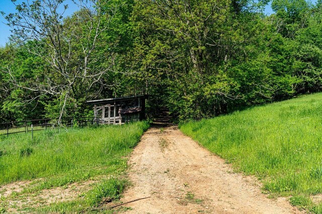 34 Mule Ln, Pikeville, TN 37367 - photo 54
