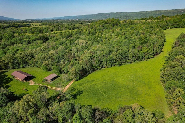 34 Mule Ln, Pikeville, TN 37367 - photo 58