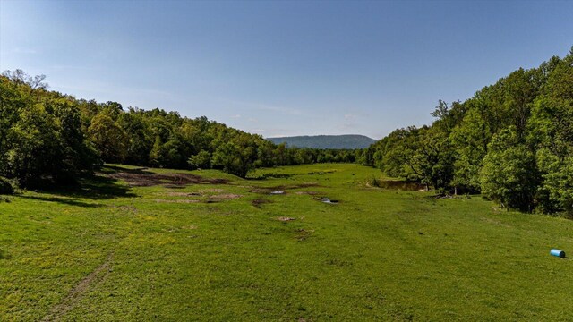 34 Mule Ln, Pikeville, TN 37367 - photo 61