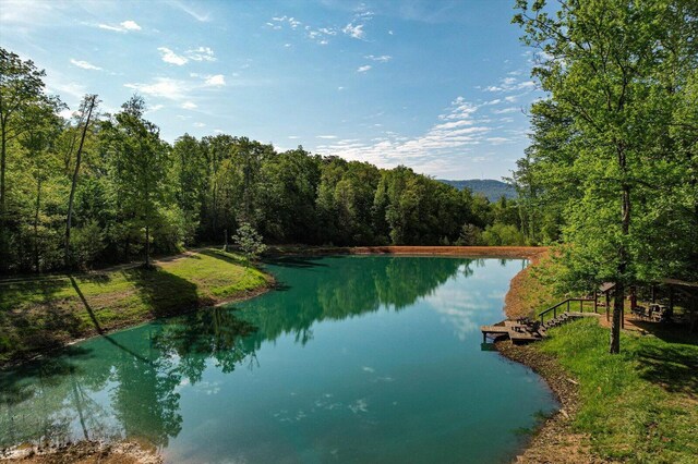 34 Mule Ln, Pikeville, TN 37367 - photo 64