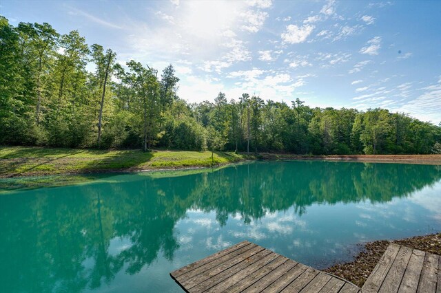 34 Mule Ln, Pikeville, TN 37367 - photo 69