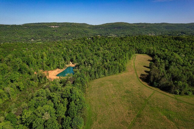 34 Mule Ln, Pikeville, TN 37367 - photo 80