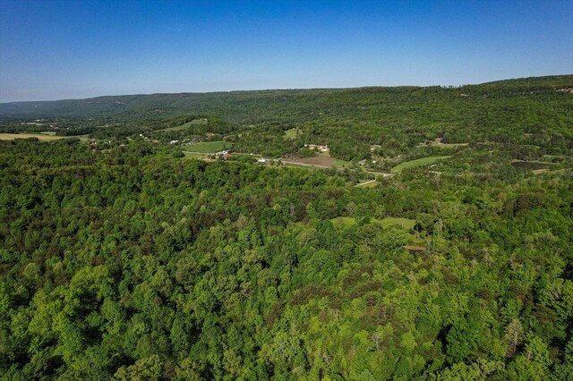 34 Mule Ln, Pikeville, TN 37367 - photo 83