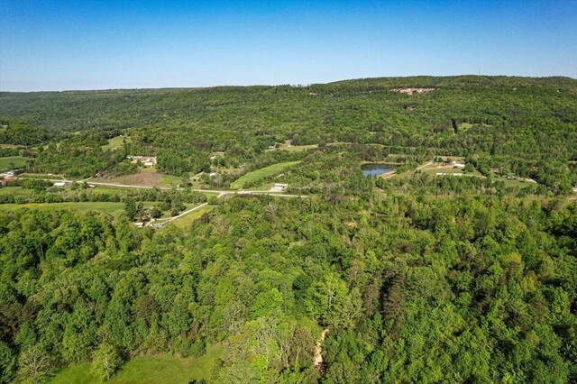 34 Mule Ln, Pikeville, TN 37367 - photo 84