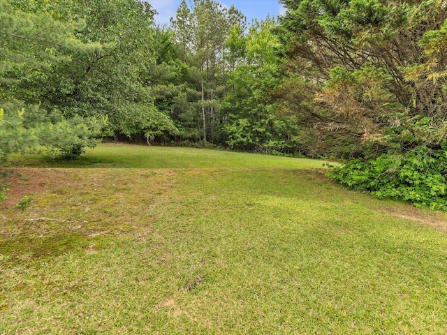 view of green lawn