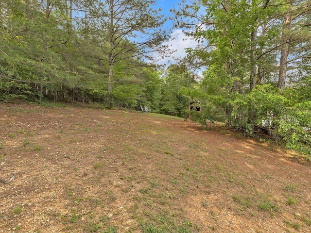 view of yard with a wooded view