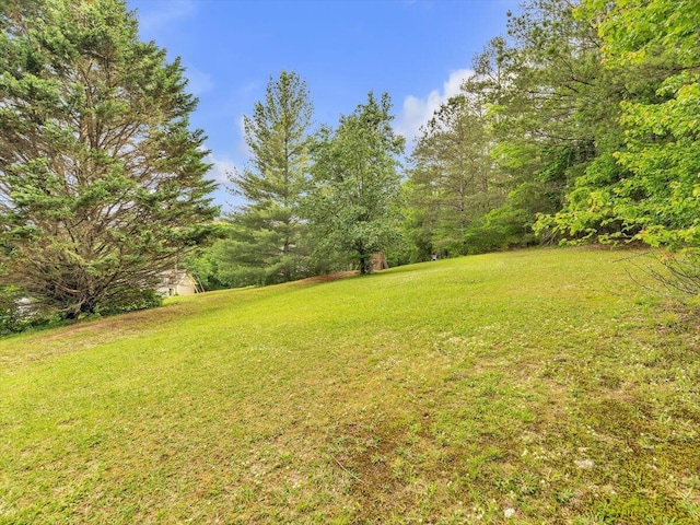 view of green lawn