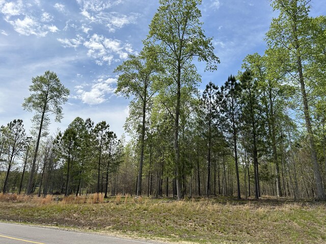 6390 Raulston Falls Rd Unit Jf-094, Jasper, TN 37347 - photo 6