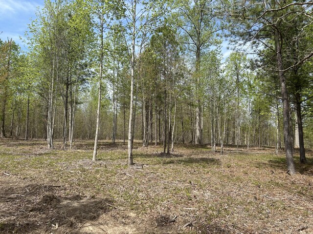 6390 Raulston Falls Rd Unit Jf-094, Jasper, TN 37347 - photo 7