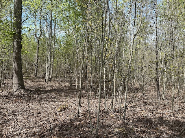 6390 Raulston Falls Rd Unit Jf-094, Jasper, TN 37347 - photo 8