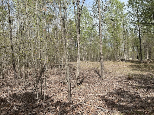 6390 Raulston Falls Rd Unit Jf-094, Jasper, TN 37347 - photo 9