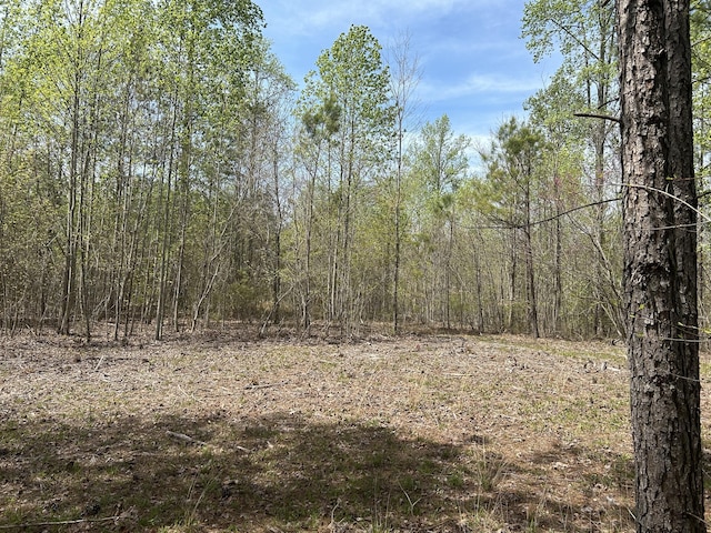 6390 Raulston Falls Rd Unit Jf-094, Jasper, TN 37347 - photo 11