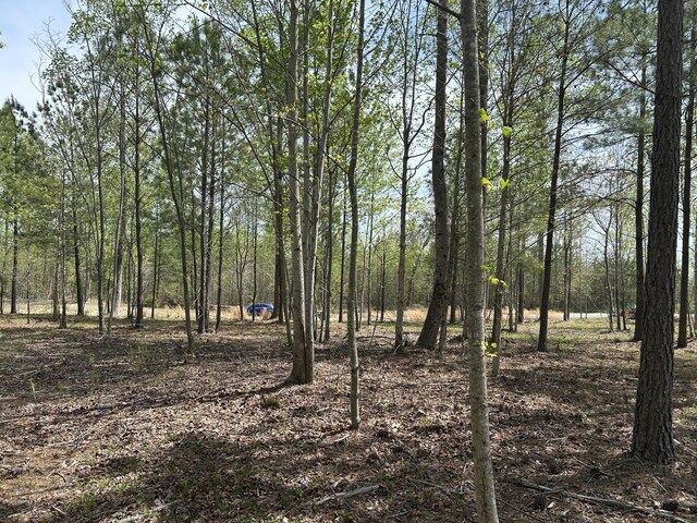 6390 Raulston Falls Rd Unit Jf-094, Jasper, TN 37347 - photo 12