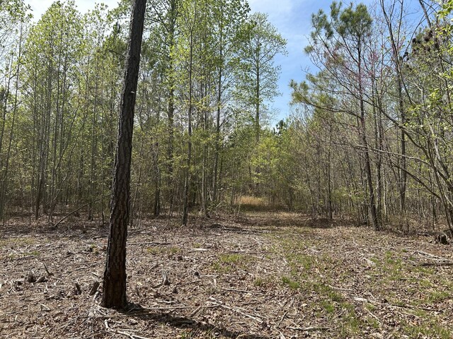 6390 Raulston Falls Rd Unit Jf-094, Jasper, TN 37347 - photo 13