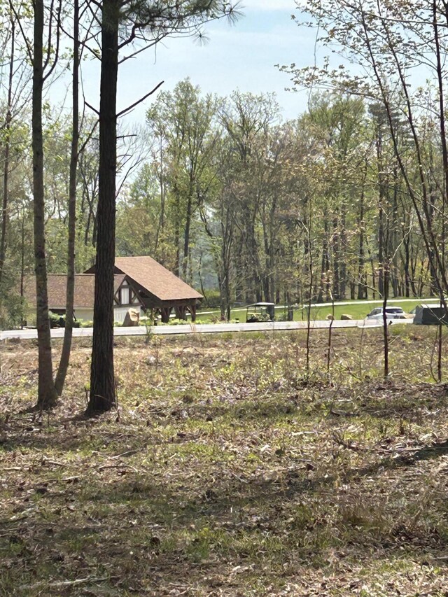 6390 Raulston Falls Rd Unit Jf-094, Jasper, TN 37347 - photo 15