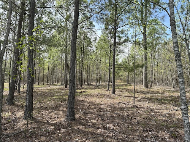 6390 Raulston Falls Rd Unit Jf-094, Jasper, TN 37347 - photo 17