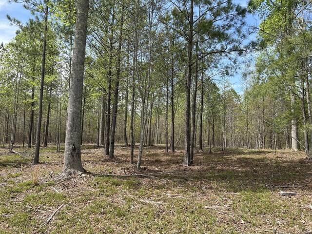6390 Raulston Falls Rd Unit Jf-094, Jasper, TN 37347 - photo 18