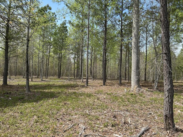 6390 Raulston Falls Rd Unit Jf-094, Jasper, TN 37347 - photo 19