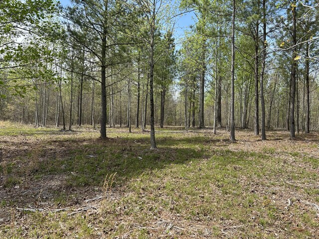 6390 Raulston Falls Rd Unit Jf-094, Jasper, TN 37347 - photo 20